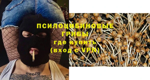 мяу мяу мука Богородицк