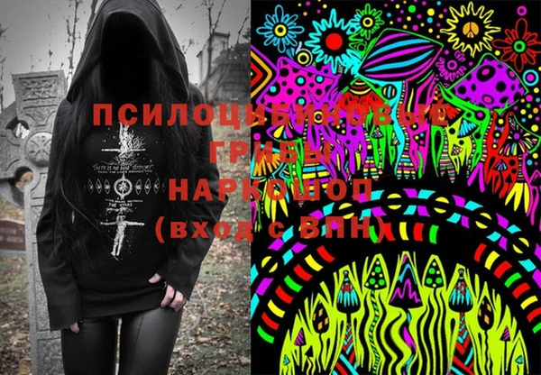 соль ск Богданович